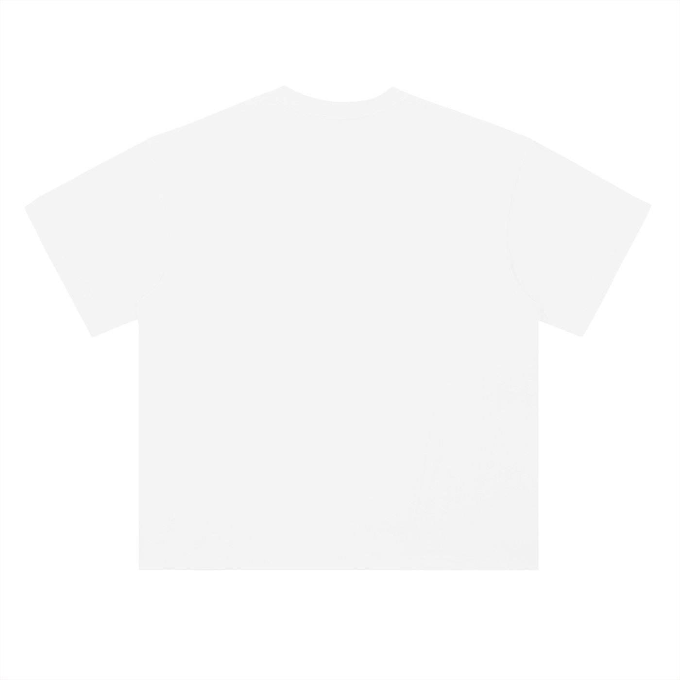 Plain white t-shirt on a white background