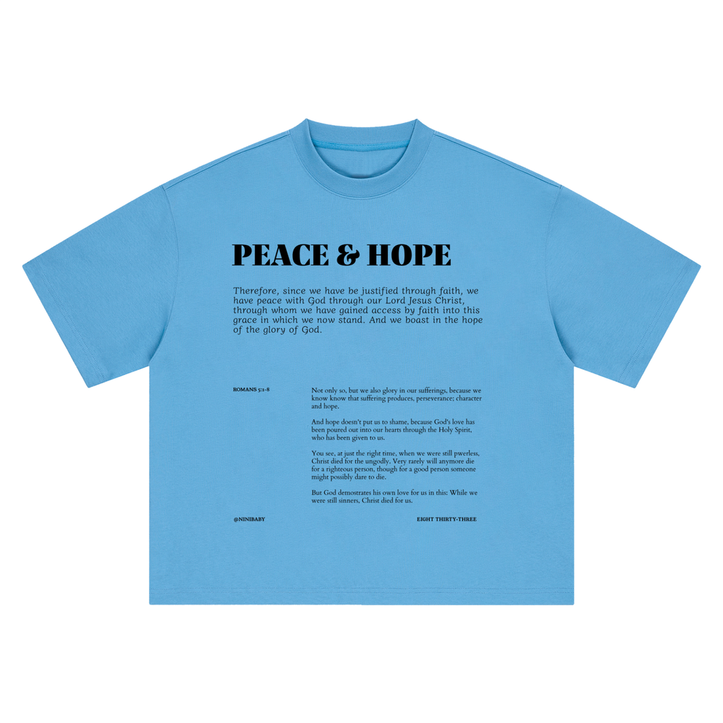 A light blue short-sleeve t-shirt shown flat against a white background, featuring black printed text on the back with the title 'PEACE & HOPE' and a Bible verse from Philippians 4:13.